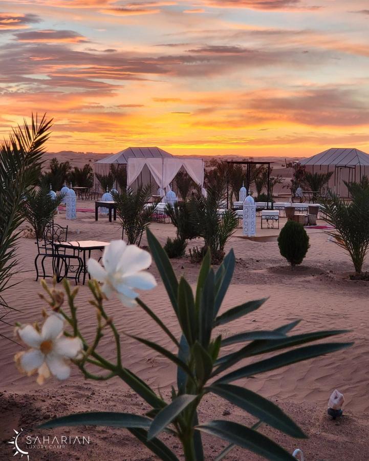 Room In Bungalow - Saharian Luxury Camp Merzouga Exterior photo